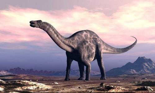 فسیل ۱۶۷ میلیون ساله دایناسور هندی شگفتی ساز شد