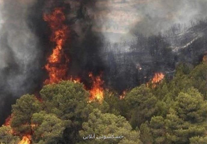 68 هكتار از جنگل های گیلان در آتش سوخت