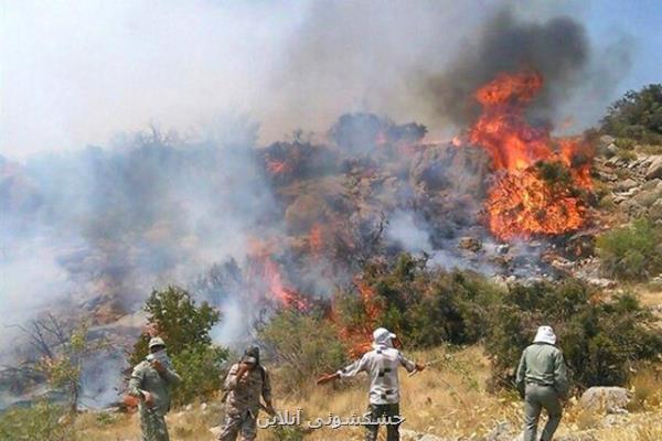 كوهنوردان بهترین افراد برای كمك به مدیریت حریق