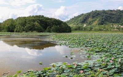 حال ناخوش تالاب های اردبیل