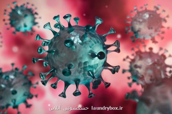 شناسایی نخستین مورد مبتلاشدن به سویه مو کروناویروس در فنلاند