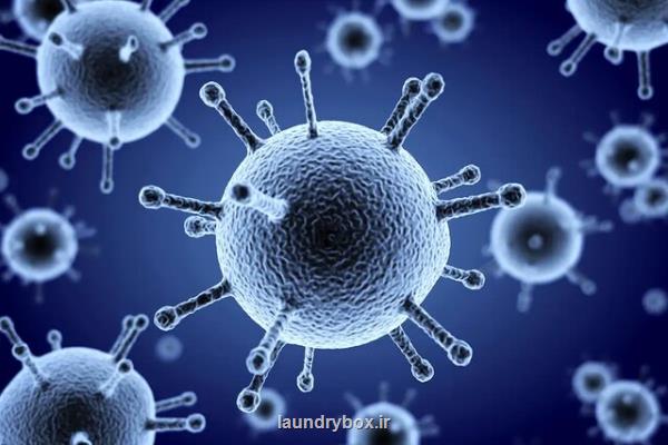 آیا همه گیری کووید-19 موجب انقراض ویروس آنفلوآنزا شده است؟