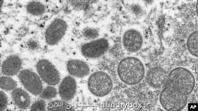 شناسایی نخستین مورد مشکوک مبتلاشدن به آبله میمونی در اکوادور