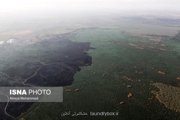 حریق بیشتر از 20 هزار هکتار از هورالعظیم