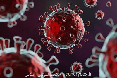 جدید ترین آمار مبتلایان و قربانیان کرونا در جهان