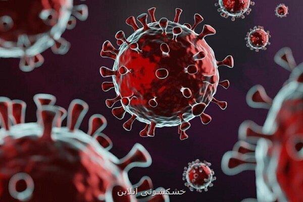تهدید کووید برای افراد دارای سیستم ایمنی ضعیف متفاوت می باشد