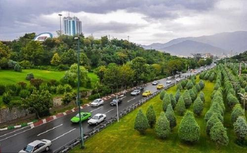 درختان کنار جاده آلودگی هوا را کاهش می دهند