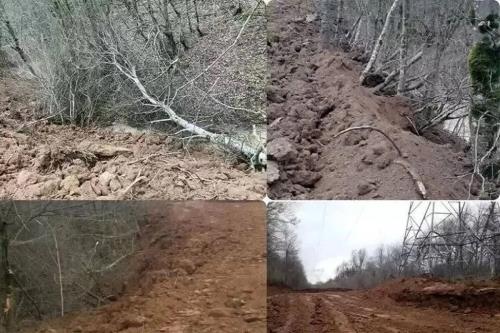 بیانیه اداره منابع طبیعی ساری در رابطه با خبر قطع ۴ هزار درخت در منطقه الیمالات