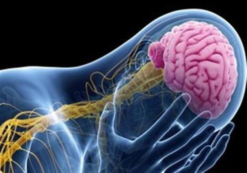 داروهای فشارخون به پیش گیری از صرع در بزرگسالی کمک می کنند