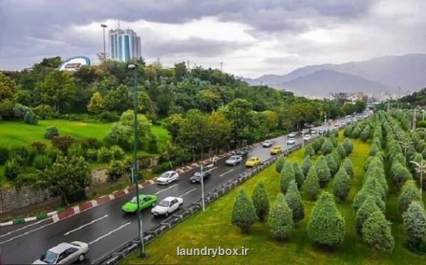 درختان کنار جاده آلودگی هوا را کاهش می دهند