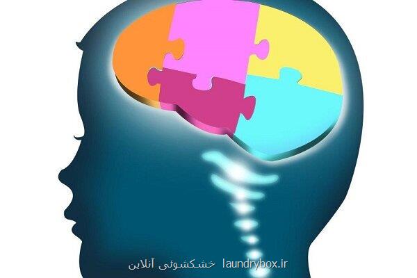 رشد بیش از اندازه مغز می تواند در اوتیسم نقش داشته باشد