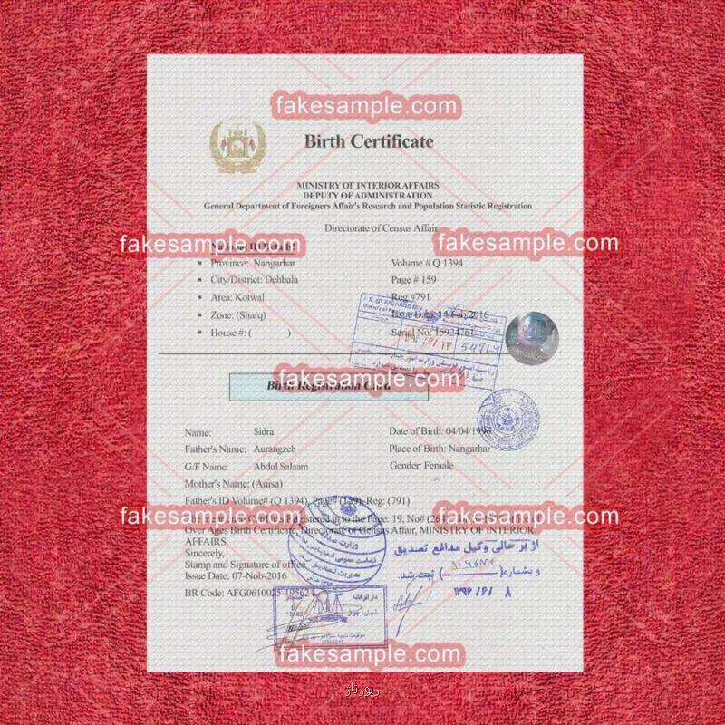 Revolutionizing Document Creation with Precision
