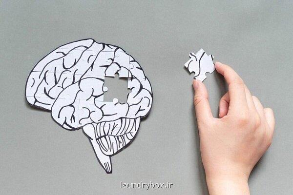 پیری بیولوژیکی خطر مبتلاشدن به زوال عقل را بیشتر می کند