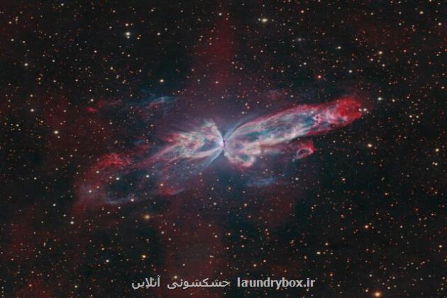 پروانه ای در دل کیهان