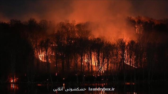 دود حریق سلامت قلب و ریه را تا ماه ها تهدید می کند