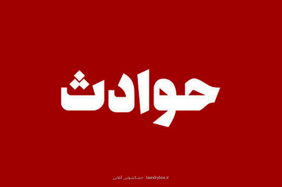 مرد مسلح جمجمه فردی را که فرزندانش برای چیدن آلو وارد باغ او شده بودند متلاشی کرد