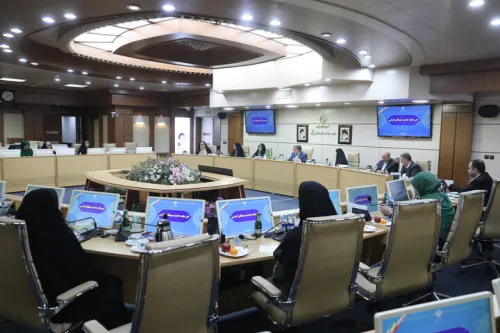 اجرای سیاستهای جمعیتی عزم ملی می خواهد