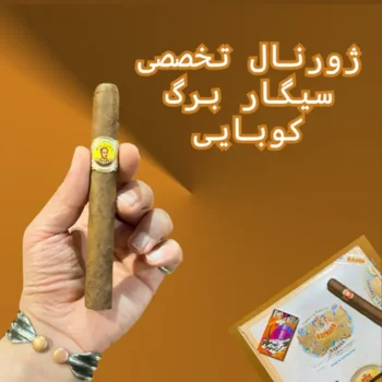 چرا شناخت سیگار برگ قبل از خرید اهمیت دارد؟
