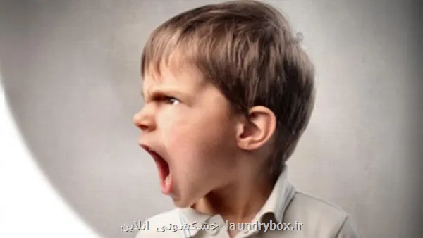 نوجوانان پرخاشگر زودتر پیر می شوند