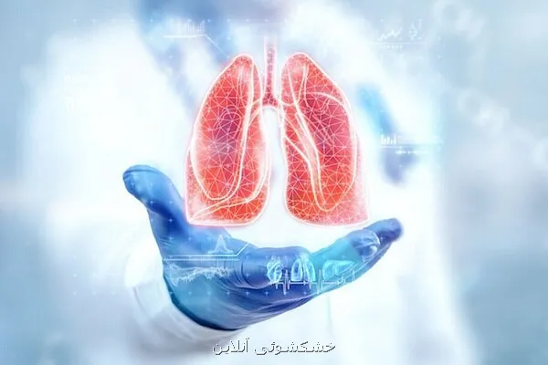 خطر نانوپلاستیک ها برای کلیه ها