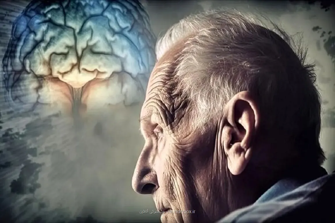 هشدار! مصرف این خوراکی مشکلات حافظه را بیشتر می کند