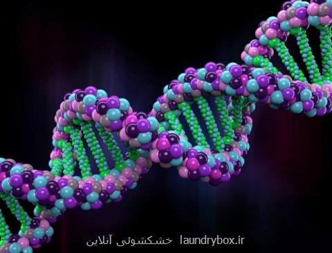 كوشش برای پیاده سازی طرح ژنوم ایرانیان، ضرورت ورود خیرین به حوزه پژوهش
