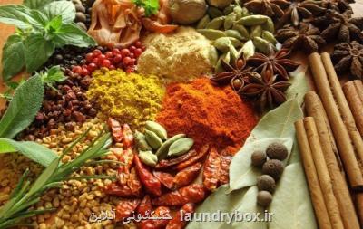طب سنتی به گیاهی تغییر پیدا كرده است
