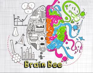 تصاحب عنوان سومی مسابقات جهانی دانش مغز توسط نماینده ایران