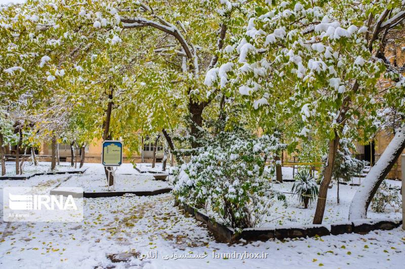 هوای كردستان برفی می شود