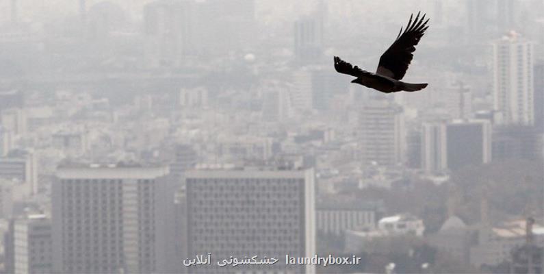هوای تهران آلوده است