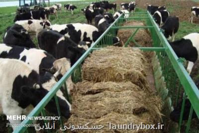 نابسامانی در بازار نهاده های دامی ادامه دارد