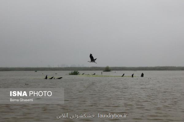 شناسایی عوامل موثر بر حیات و مرگ تالاب گمیشان در دستور كار دانشگاه تهران